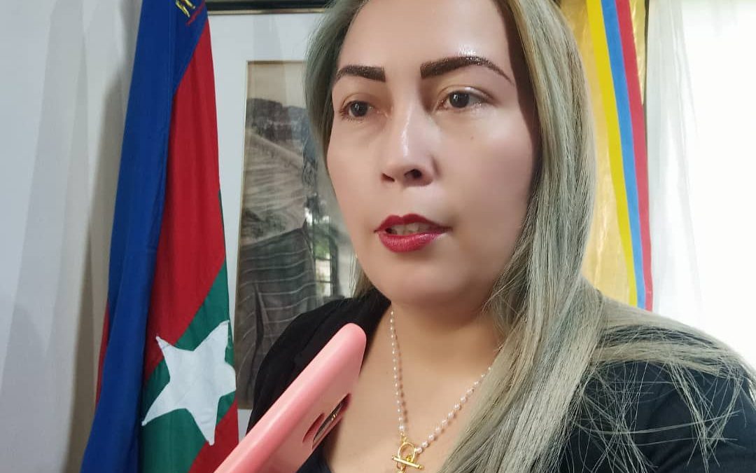 ordenanza impuesto actividad económica
