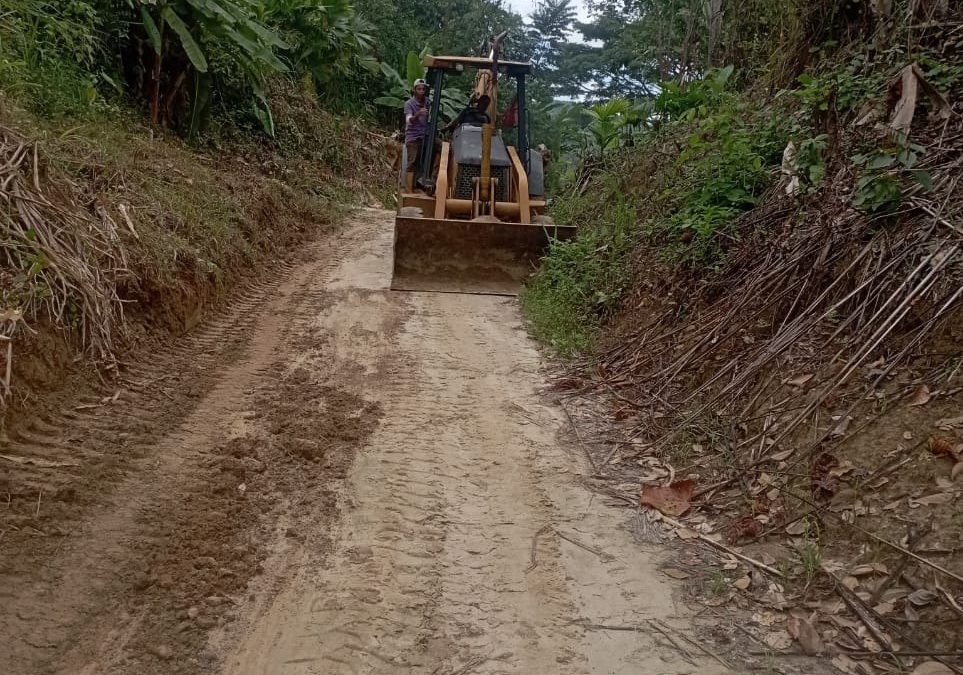 Alcaldía Alberto Adriani inició recuperación de vía agrícola en Caño Frío y Mata de Limones
