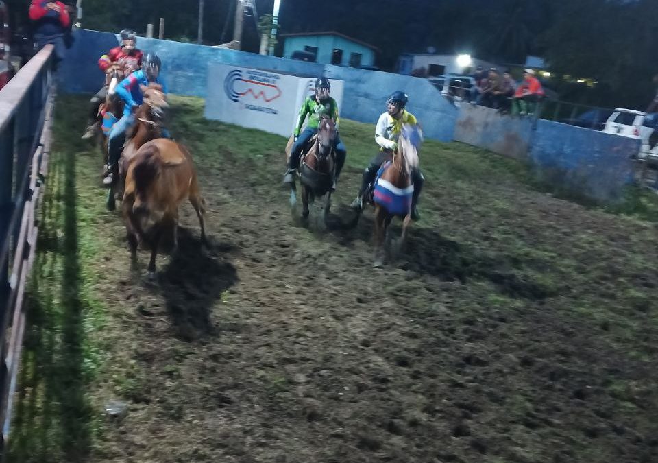 Club de Coleo celebró con éxito encuentro de Toros Coleados en El Vigía