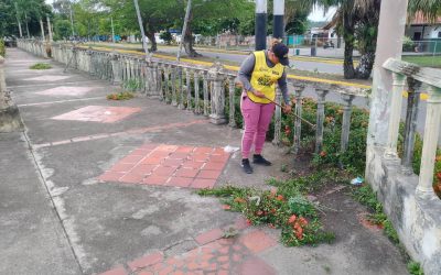 Plan Renacer de mi Vigía Querido intensifican labores de embellecimiento de espacios públicos