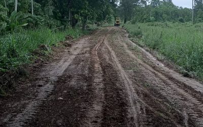 Gestión de Lisandro Segura recuperó vialidad agrícola en sectores de Caño Amarillo