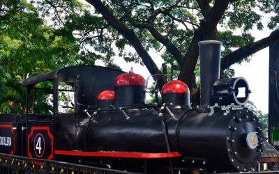 El tren inmóvil que aún mueve la memoria de El Vigía