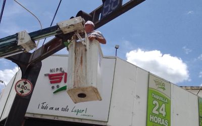 Gobierno de Lisandro Segura repara semáforo en la avenida Bolívar