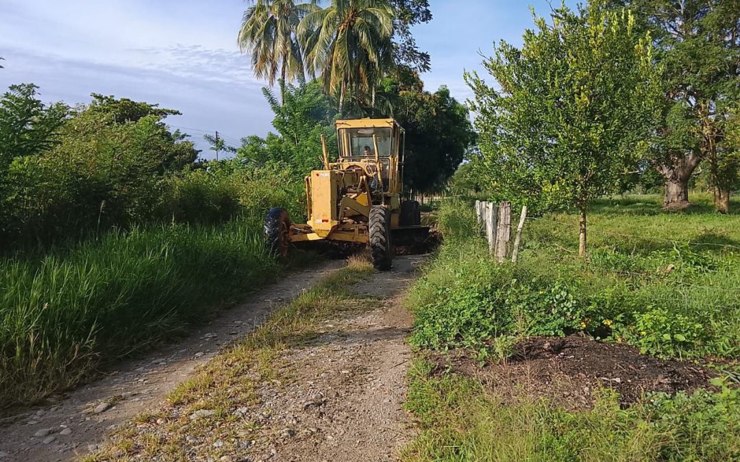 Gestión de Lisandro Segura recupera vialidad agrícola en el sector Caño Amarillo