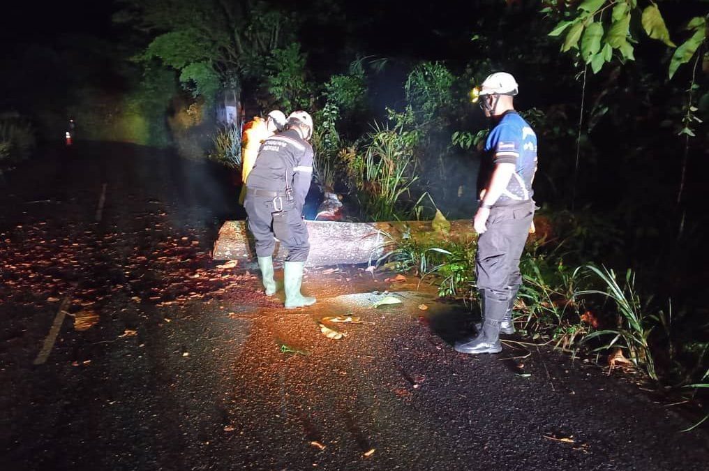 Gobierno de Lisandro Segura realizó trabajos de despeje en la vía hacia La Palmita