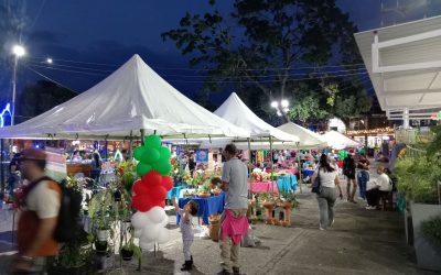 Expo Navidad 2025 vitrina para mostrar el talento local y dinamizar la economía