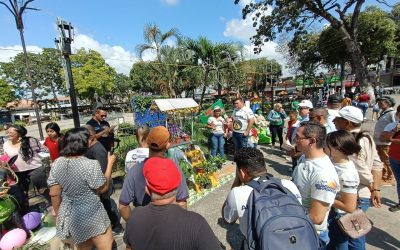 Alcaldía de Alberto Adriani realizó con éxito concurso de “Año Viejo 2025”