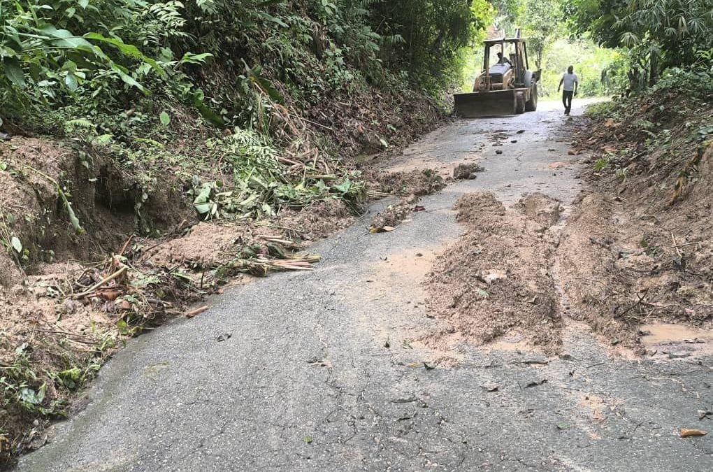 Alcaldía Alberto Adriani despeja vía en San José