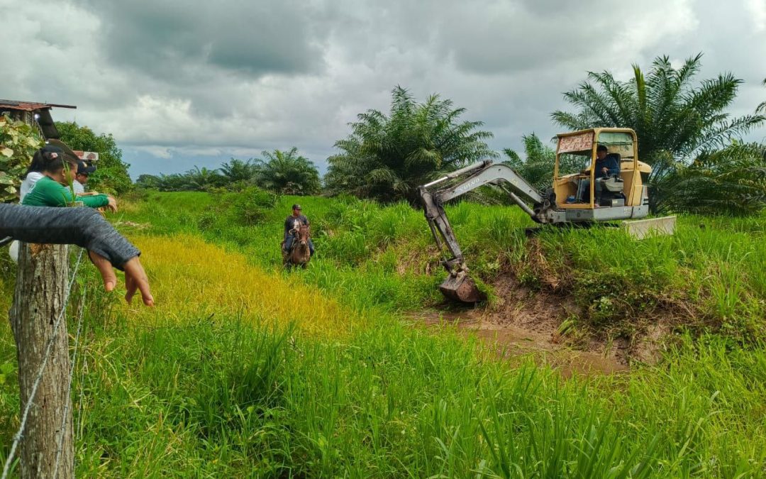 Alcaldía de Alberto Adriani realiza trabajos de limpieza a canal de aguas pluviales en Provivienda 97