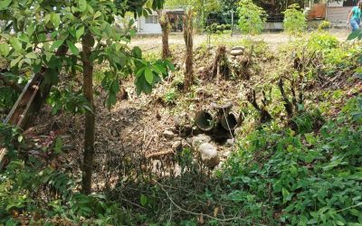 Gestión de Lisandro Segura realiza limpieza a canal de aguas pluviales en Caño Caimán