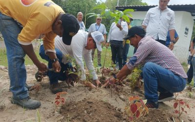 Alcalde Lisandro Segura inició Plan de Arborización y Siembra de Jardines en Alberto Adriani