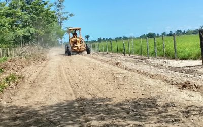 Gestión de Lisandro Segura recupera vialidad agrícola en Caño Las Dantas
