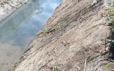Alcalde Lisandro Segura fortalece mantenimiento de canales pluviales