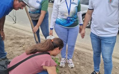 Continúa Plan de Arborización impulsado por la gestión de Lisandro Segura