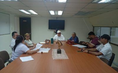 Alcalde Lisandro Segura y fuerzas vivas definen programación del V Festival Rosa en El Vigía