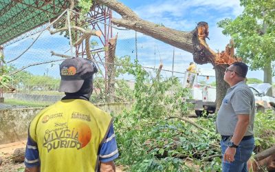 Gestión de Lisandro Segura atendió afectaciones por lluvias en El Vigía