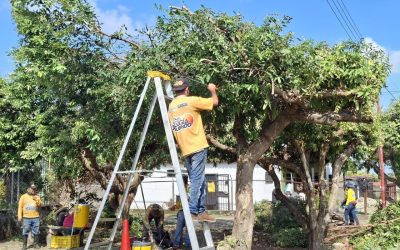 Alcalde Lisandro Segura consolida atención vial y ambiental en la parroquia Héctor Amable Mora